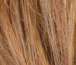 Gallery_ELL000479-25836