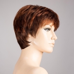 Gallery_cool-cinnamon-mix-bs