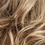 Gallery_cat-lightbernstein-rooted