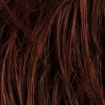 Gallery_39-darkauburn-HP2024