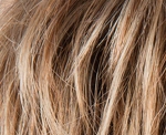 Gallery_ELL002505-10176