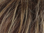Gallery_ELL000460-26937