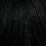 Gallery_HAI000849-36664