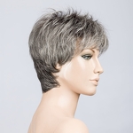 Gallery_stay-salt-pepper-rooted-bs