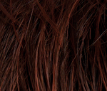 Gallery_darkauburn-2-