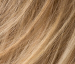 Gallery_ELL001314-26400