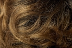 Gallery_per002650-31915