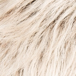 Gallery_risk-large-lightchampagne-rooted