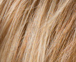 Gallery_ginger