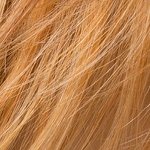 Gallery_mango