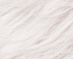 Gallery_ELL001726-29022