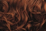 Gallery_per003241-11181