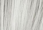 Gallery_002566-9801