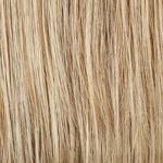 Gallery_HAI001275-55992