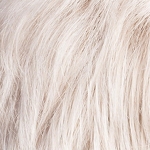 Gallery_ginger-mono-silver-mix