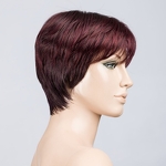 Gallery_pixie-aubergine-mix-bs