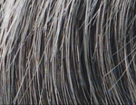 Gallery_ELL000280-8703