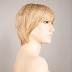 Gallery_award-sandyblonde-rooted-bs