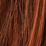 Gallery_hotcinnamon