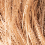 Gallery_33-toffeeblonde-hairsociety