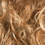 Gallery_storyville-bernstein-rooted